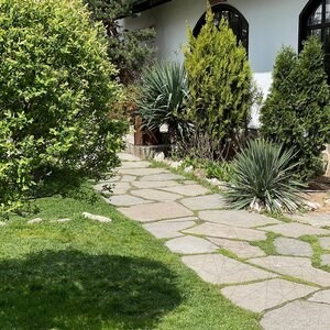 Polygonal Slate Homa Lespezi - kamień naturalny na chodniki, stopnie ogrodowe, ścieżki (1 m2 = 3-5 sztuk, 10 m2/paleta)
