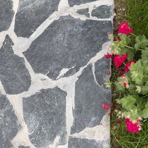 Laguna Green Polygonal Slate - kamień naturalny do wnętrz / na zewnątrz | Fronty, chodniki i chodniki