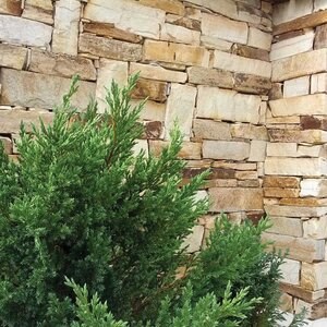 Łupek Rhodos Filleti (Paleta ok. 10 m²)| Kamień dekoracyjny - Płytki pionowe, zewnętrzne-wewnętrzne