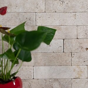 Antyczny trawertyn classic brick, 20,3 x 5 x 3 cm