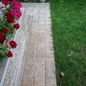 Trawertyn Latte PREMIUM Szczotkowany i Daltuit, 30,5 x 15,2 x 3 cm (Chodnik zewnętrzny)