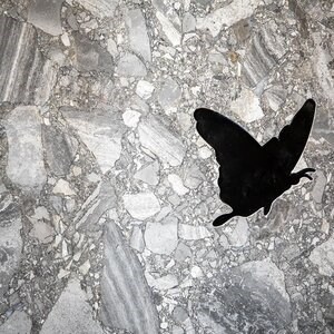 Slabs Marble Upper Grey Polished, 2 cm