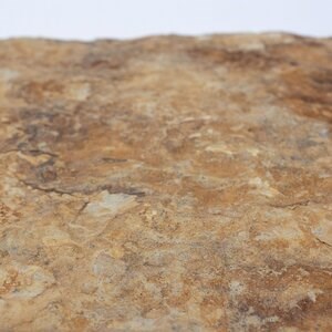 Piaskowiec Morayma Gold Scapitata, 30 x 60 x 1,5 - 2,5 cm