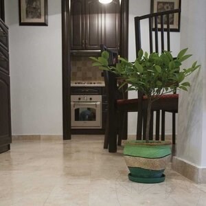Trawertyn Classic PREMIUM Cross Cut Polisat, 40,6 x 20,3 x 1,2 cm