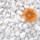 Kamyczki Marmura Alba Thassos, 1-3 cm Worek 20 kg