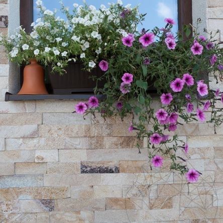 Łupek Rhodos Natur, 5 cm x LL | Kamień dekoracyjny - Płytki pionowe, zewnętrzne-wewnętrzne