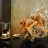 Desert Rose - Desert Rose KG
