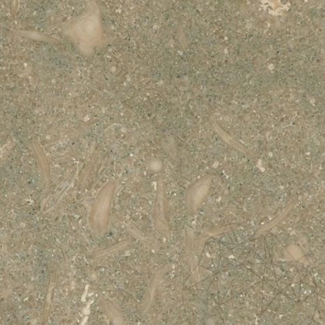 Wapień Oliva Periata, 60 x 60 x 1,2 cm