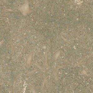 Limestone Oliva Mata, 61 x 30,5 x 1,2 cm
