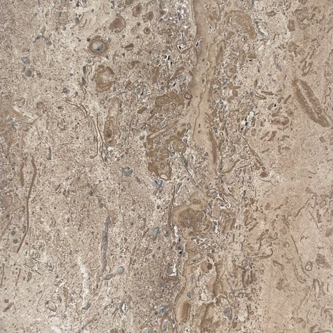 Trawertyn Latte PREMIUM szczotkowany, 30.5 x 15.2 x 3 cm
