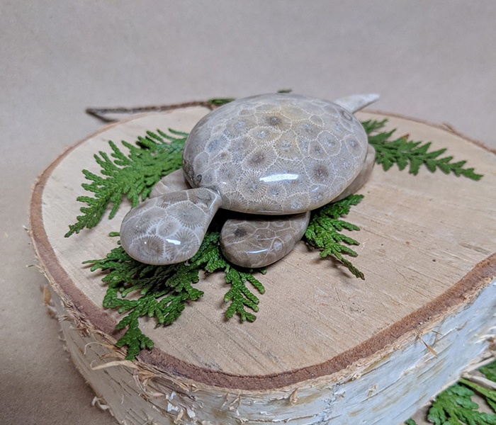 Petoskey Stone i bluźnierstwo przeciwko przeszłości