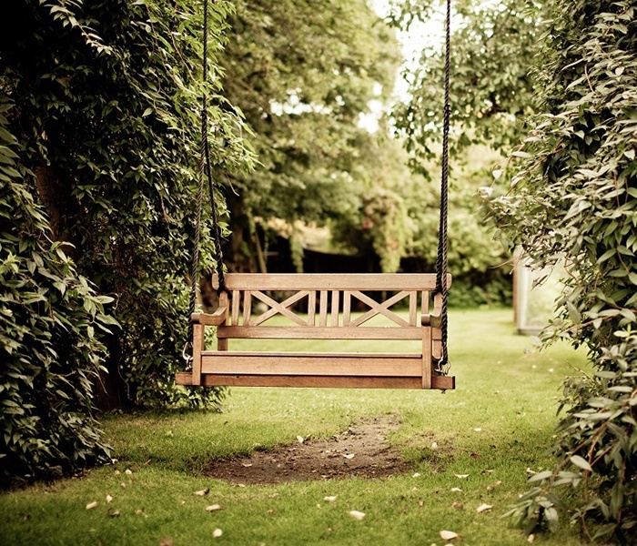 Łatwe porady dotyczące pielęgnacji roślin | Renowacja ogrodu | Wywiad z Dianą Gadeą